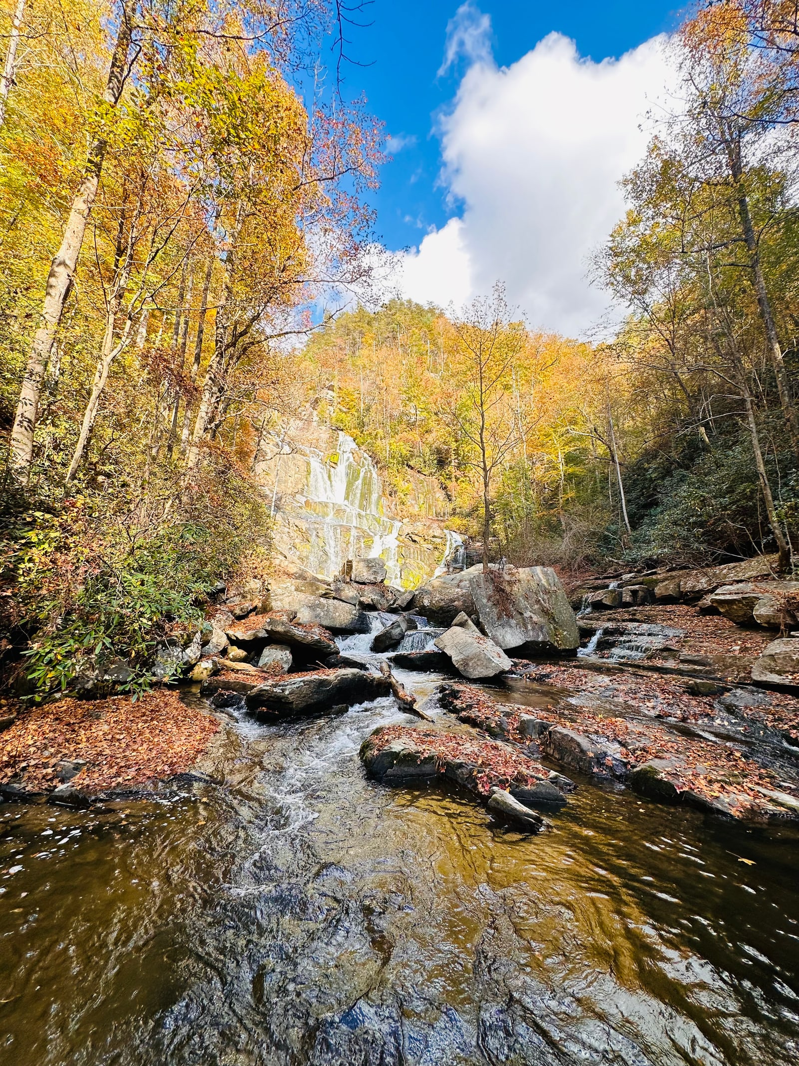 Waterfall and rocky stream surrounded by autumn forest