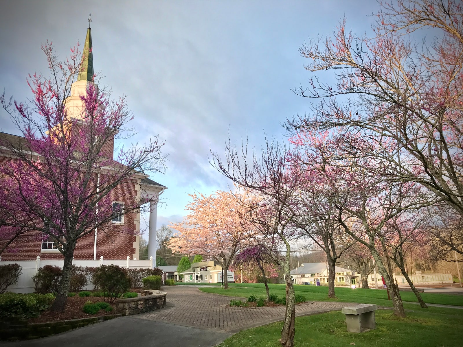 Church and blossoming trees in the Hiawassee area
