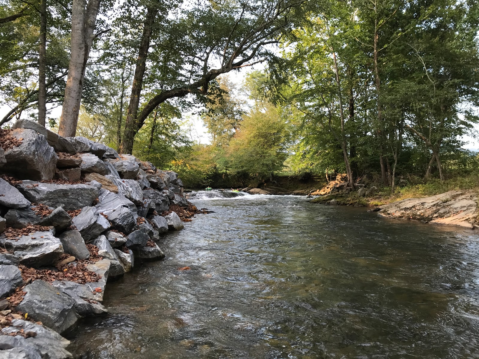 River bend flowing past a rocky bank beneath mature trees
