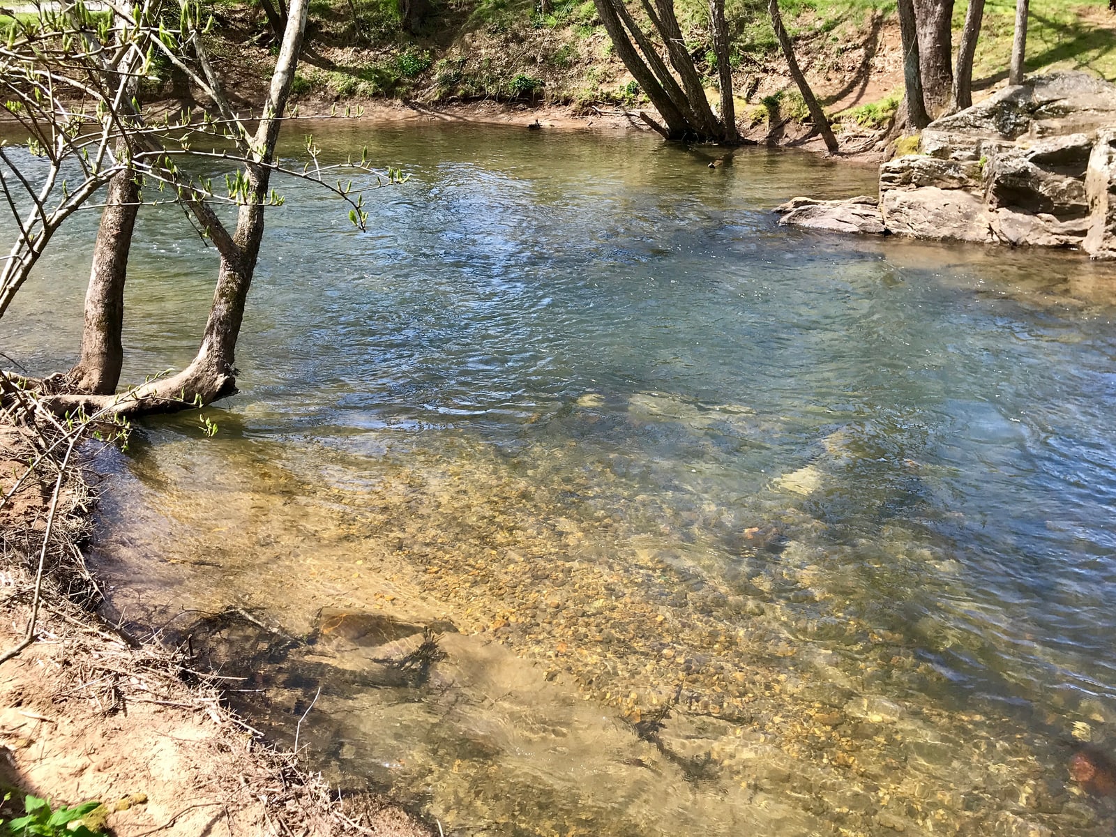 Sunlit clear river water revealing the pebbled streambed