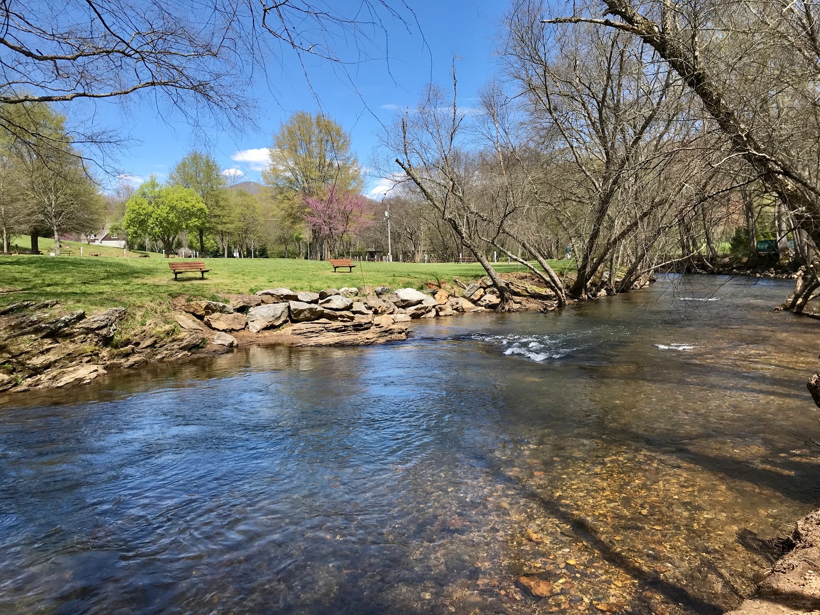 Clear river flowing beside an open lawn with benches in spring